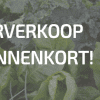 De Voorverkoop van mijn Nieuwe Boek