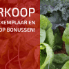 De Voorverkoop van mijn Tweede Boek is Gestart!