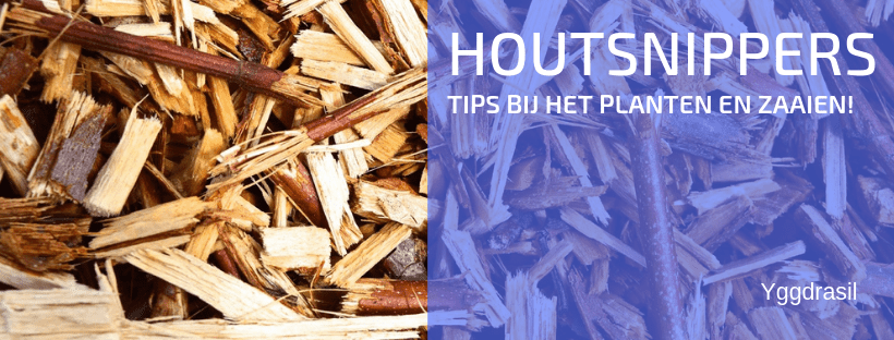 Hoe planten in houtsnippers?