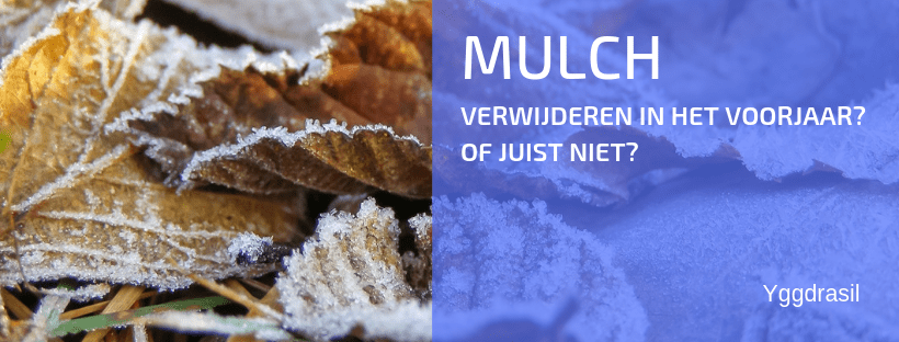 Wat Doe je Met Mulch in Het Voorjaar?