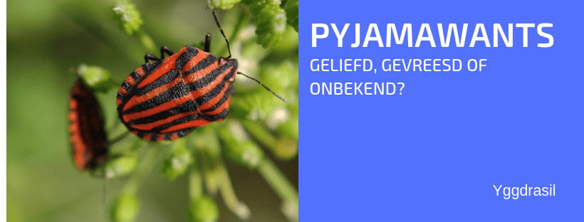 Tuinbewoners: Graag gezien of niet: Pyjamawantsen