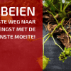 Hoe Planten en Kweken Wij Aardbeien?
