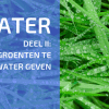 Systeem Om Groenten Te Kweken Zonder Extra Water Geven