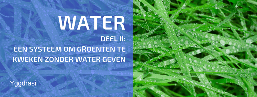 Systeem Om Groenten Te Kweken Zonder Extra Water Geven