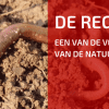 Help Je Regenwormen en Jezelf: Mulch!