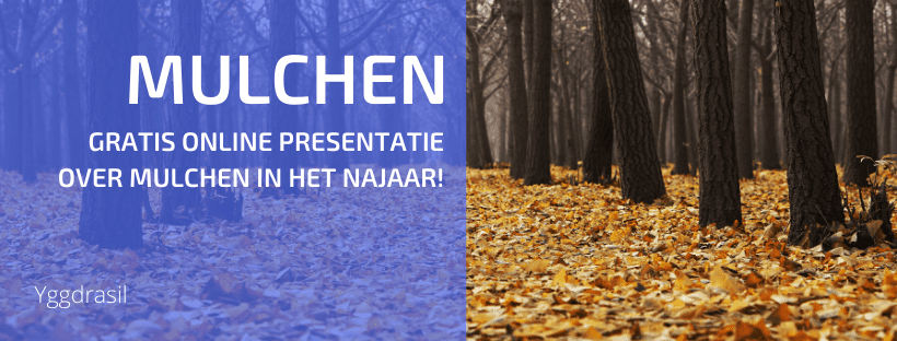 Gratis Webinar over Mulchen in het Najaar!