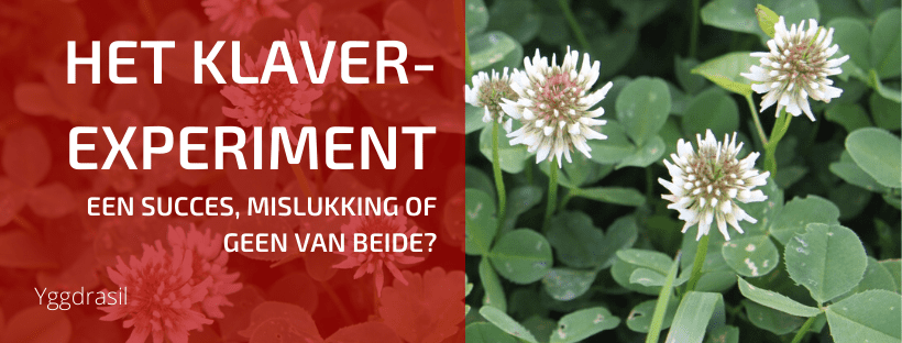 Ons Experiment met Klaver Als Mulch: Een Eindevaluatie