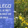 Uitgelegd: Tuinieren Met de Natuur Mee.