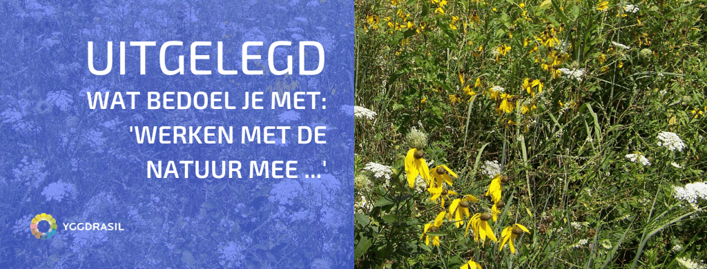 Uitgelegd: Tuinieren Met de Natuur Mee.