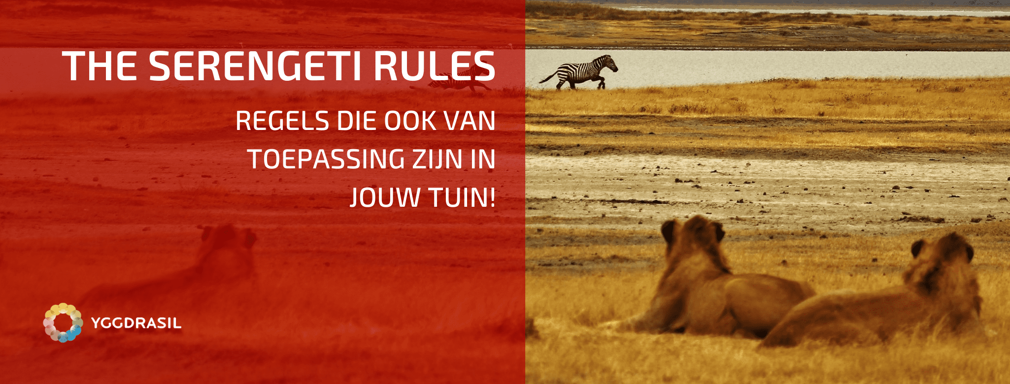 The Serengeti Regels: Van Toepassing in Jouw Tuin?