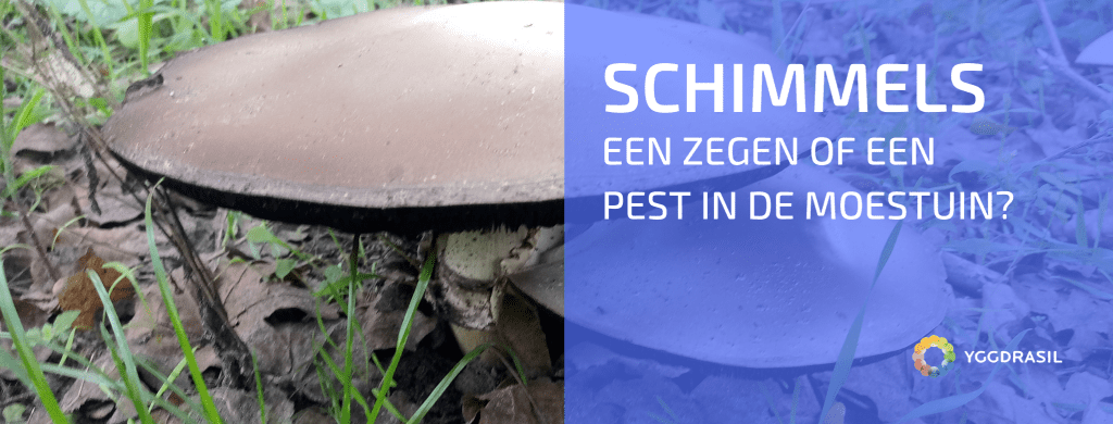 Schimmels Mijden in je Tuin of Juist het Omgekeerde?