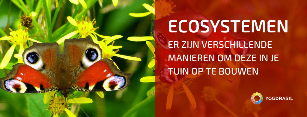 Verschillende Manieren Om een Ecosysteem Op Te Bouwen