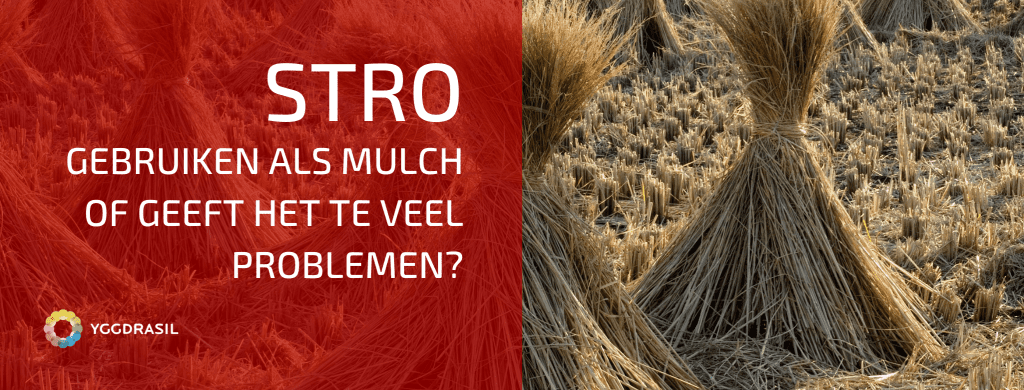 Stro Als Mulch: Enkel Voordelen?