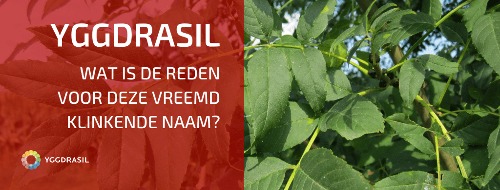 Vanwaar Komt De Vreemde Naam Yggdrasil?