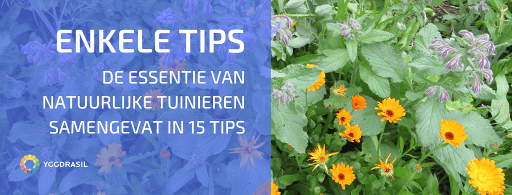 Een Reeks Tips om de Essentie van Natuurlijk Tuinieren Samen te Vatten