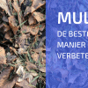 Mulchen Is De Oplossing Voor De Komende Veranderingen