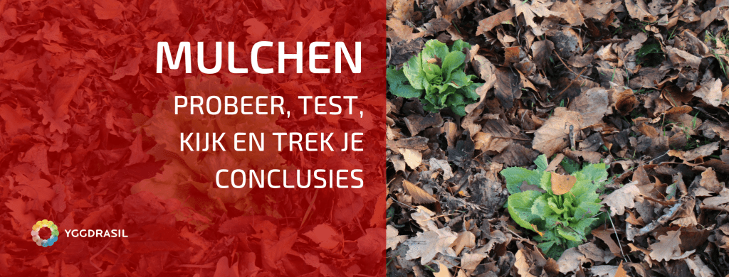 Mulchen: Experimenteer en Leer