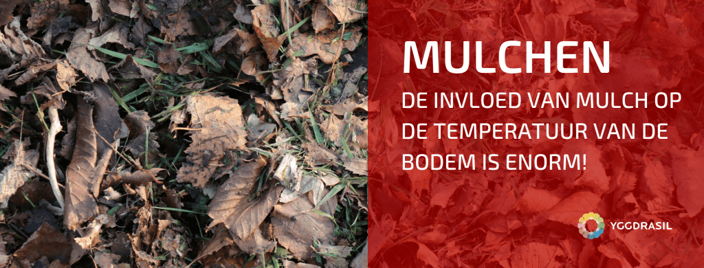 De Invloed Van Mulchen Op de Bodemtemperatuur