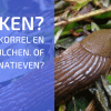 Een Definitieve Oplossing Voor Slakkenproblemen?