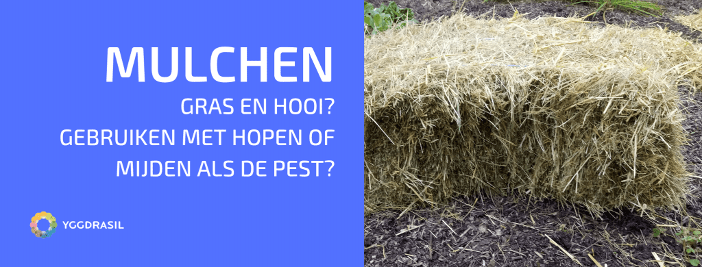 Enkele Gedachten Over Gras en Hooi Als Mulchmateriaal