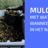 Mulchen In Het Najaar: Hoe Ga Je Te Werk?
