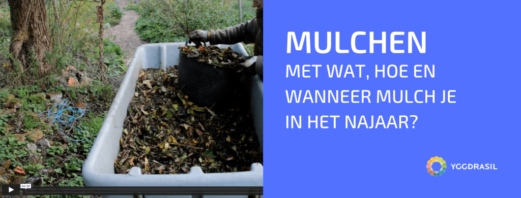 Mulchen In Het Najaar: Hoe Ga Je Te Werk?