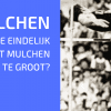 Mulchen Is Vernieuwend?