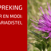 Plantbespreking: Mariadistel (Silybum marianum L.)