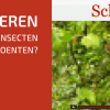 Hoe Kijken Insecten Naar Je Groenten?