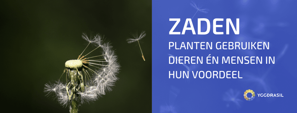 Hoe Planten Mensen en Dieren Gebruiken