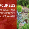 Voor Elk Wat Wils: Twee Online Cursussen (Met Tijdelijke Korting)