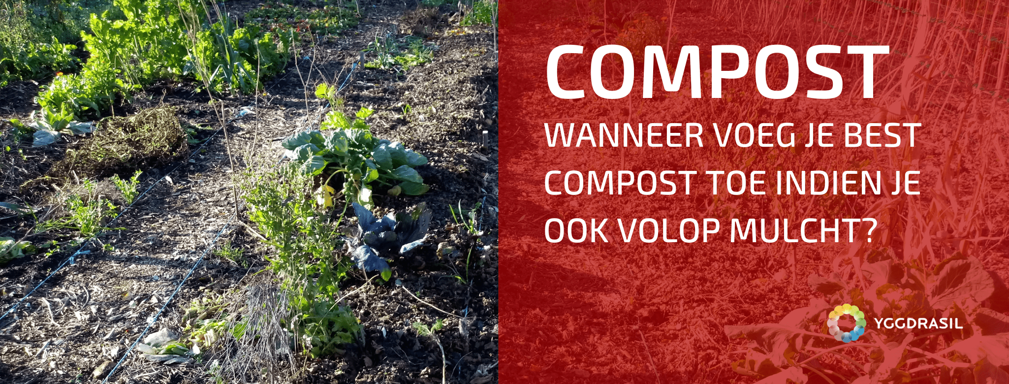 Wanneer Kan Je Best Compost Toevoegen Op Je Bedden?