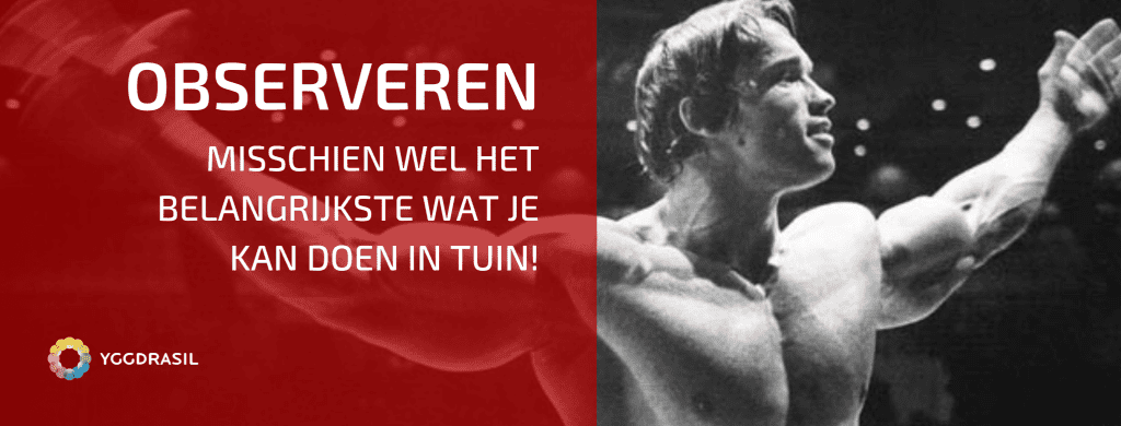 Observeren Is Een Blijver