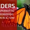 Vlinders: Mooi, Lief en Interessant!