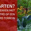 Starten Op een Nieuw Terrein: Hoe Doe Je Dat?
