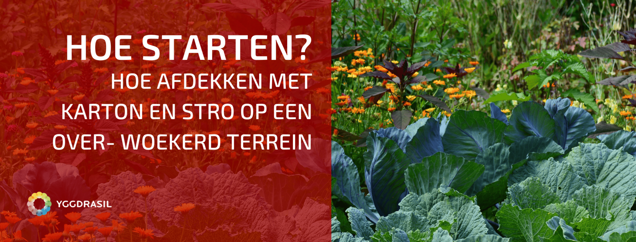 Blog Natuurlijke Moestuin