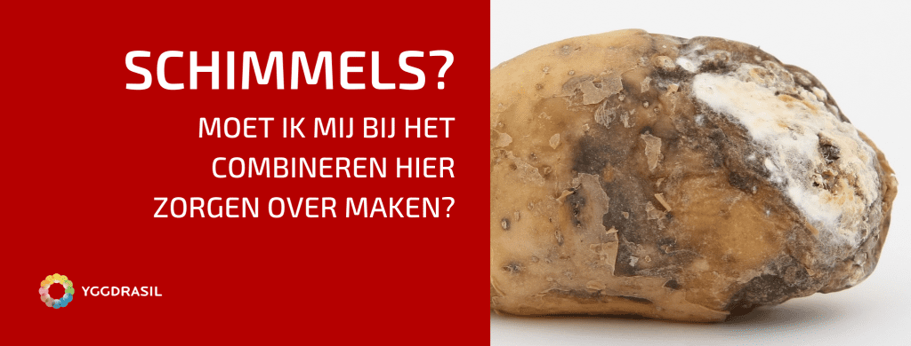 Wat Doe Je Tegen Bodemschimmels In Je Tuin?