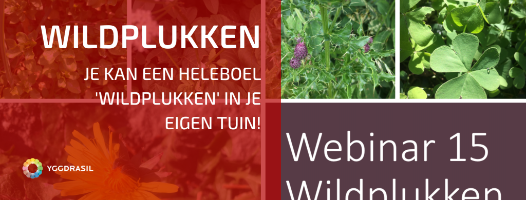 Wildplukken In Je Eigen Tuin