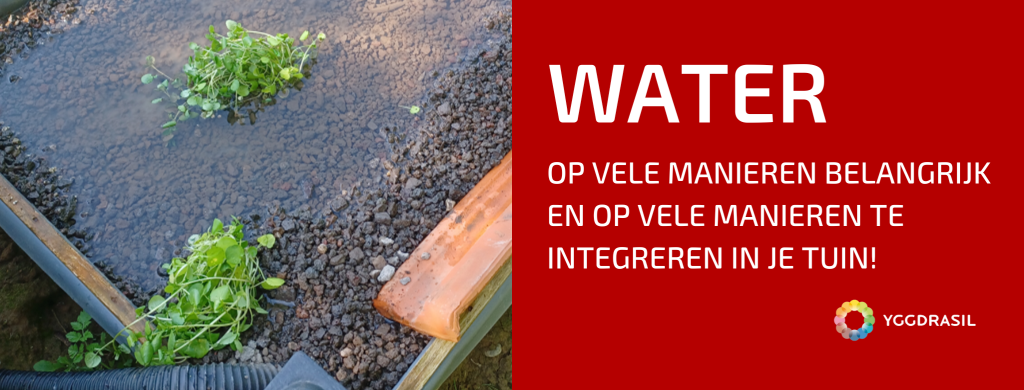 Poelen, Beestjes, Waterkers en Flowforms