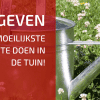 Water Geven? Hoe, Wanneer, Hoeveel ...