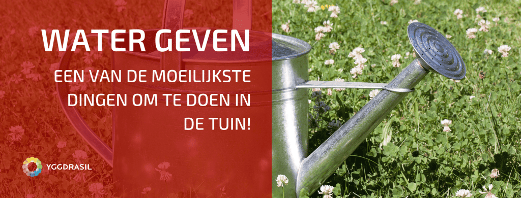 Water Geven? Hoe, Wanneer, Hoeveel ...