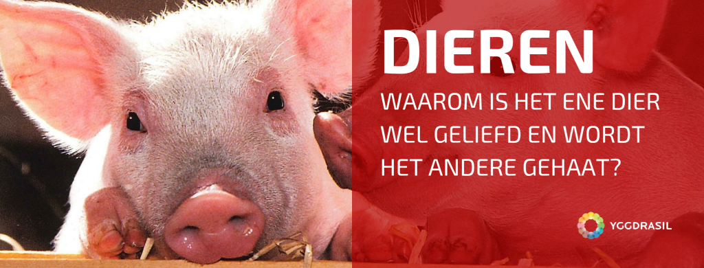 Waarom Is Er Zoveel Verschil Tussen Dieren?