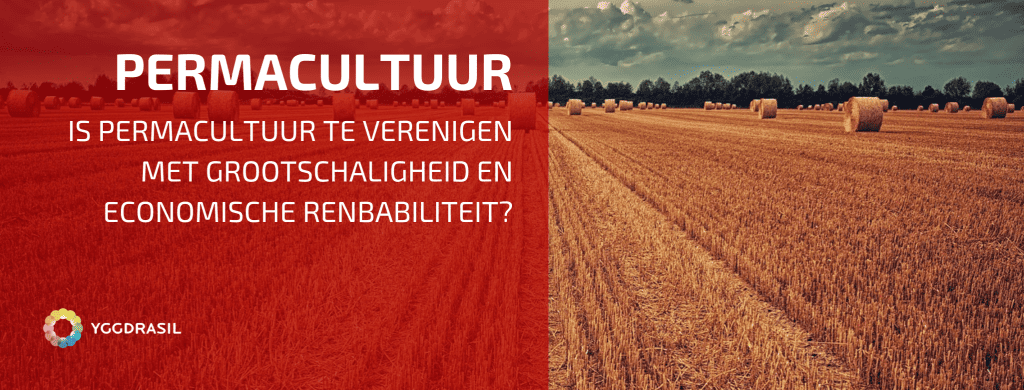 Kan Permacultuur Een Impact Hebben Op Onze Voedselproductie?