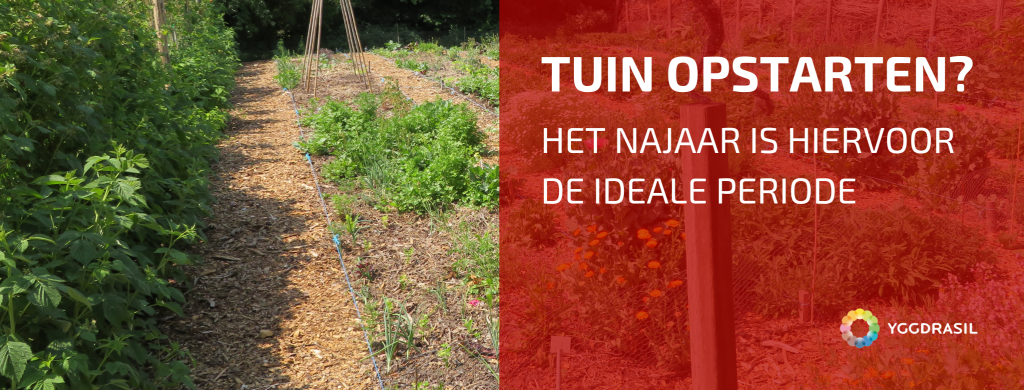 Nu Stilaan Nadenken Over Je Nieuwe Moestuin