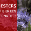 Zijn Groenbemesters Noodzakelijk Of Is Er Een Alternatief?