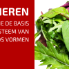 De 4 Basisprincipes Van Onze Manier Van Combineren!