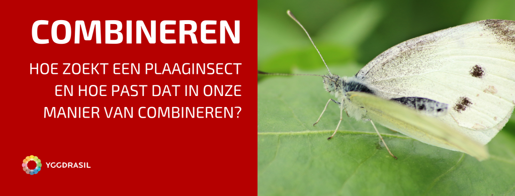 Hoe Zoekt Een Insect In De Natuur?