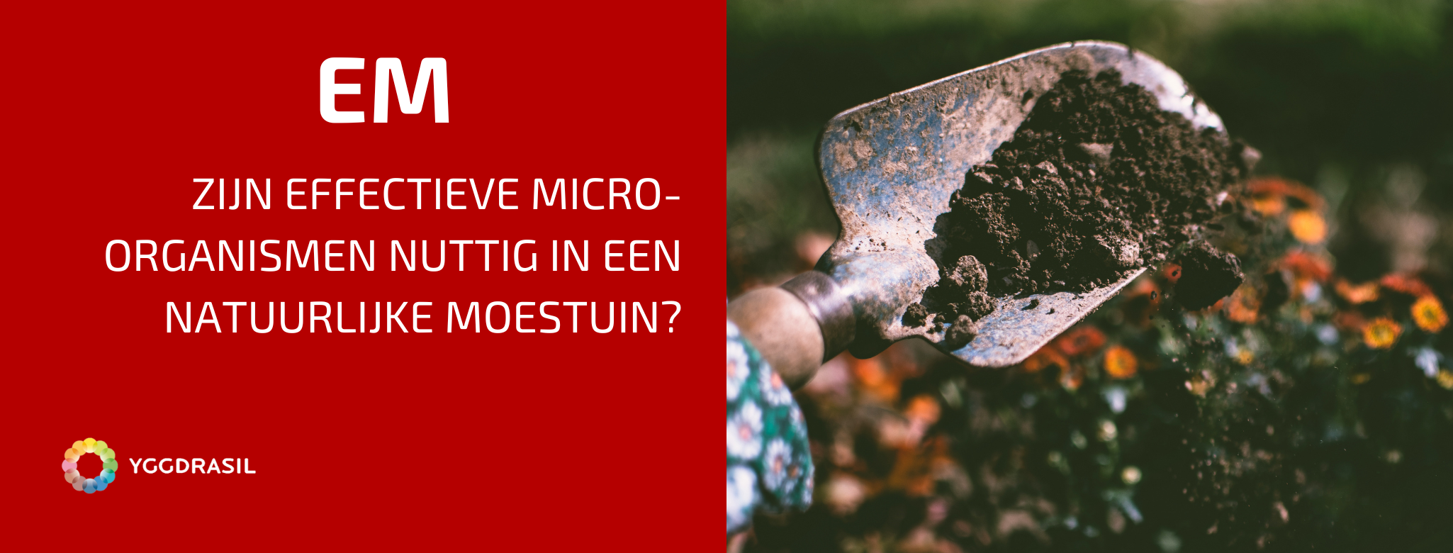 Zijn EM ook nuttig in een natuurlijke moestuin?