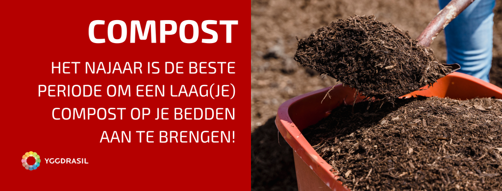 Het Is Najaar: Tijd voor Mulchen en Misschien Compost?