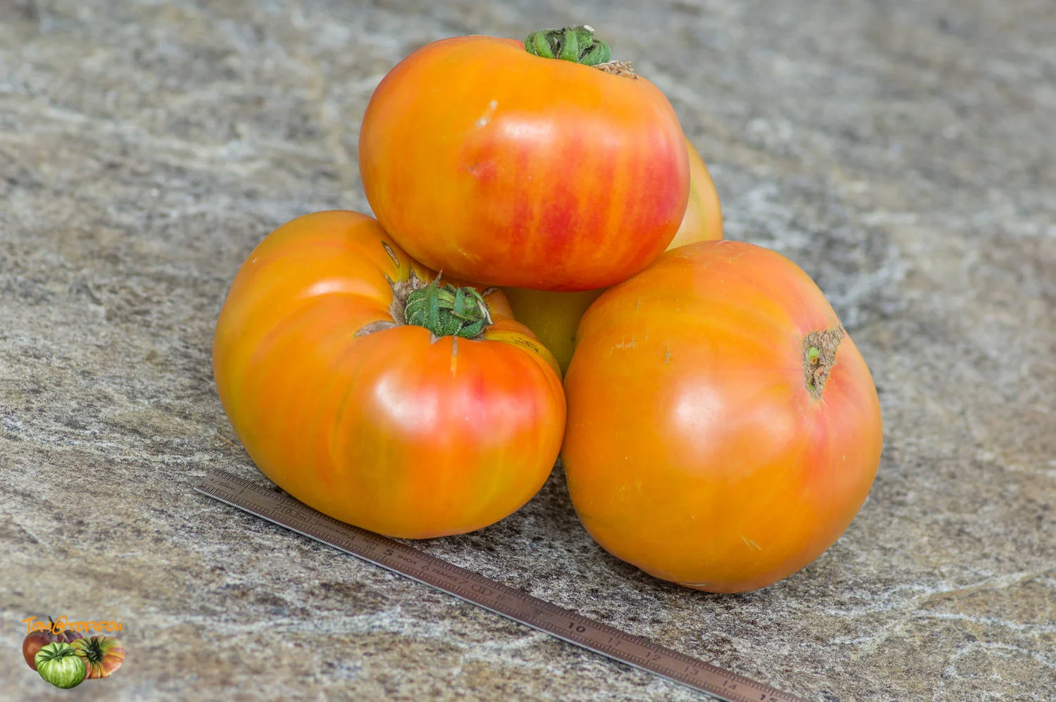 ananas-03-juillet-2020-2